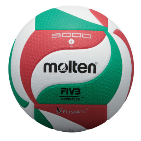 BALLON DE VOLLEY MOLTEN VM5000 (VOL012)