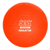 BALLON DE HAND 1ER PAS (HAN001)