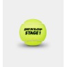 DUNLOP BALLES STAGE 1 VERT ( x60 )