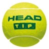 HEAD BALLES TIP GREEN ( x3 )