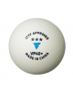 VICTAS BALLE COMPETITION VP40+ ( X60 )