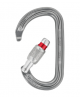 MOUSQUETON PETZL AM'D SCREW LOCK