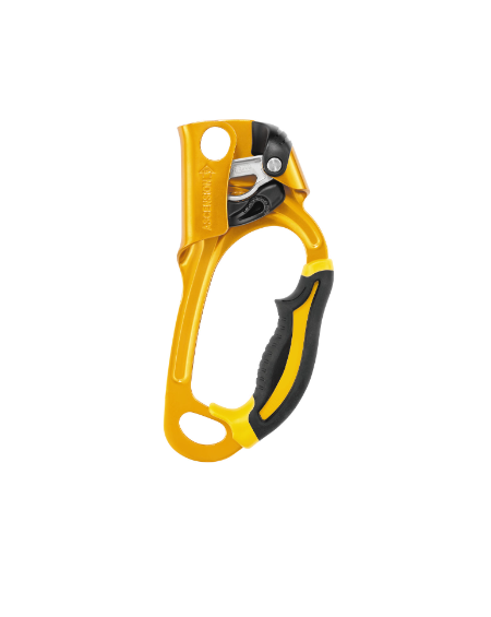 BLOQUEUR-POIGNEE PETZL ACSENSION