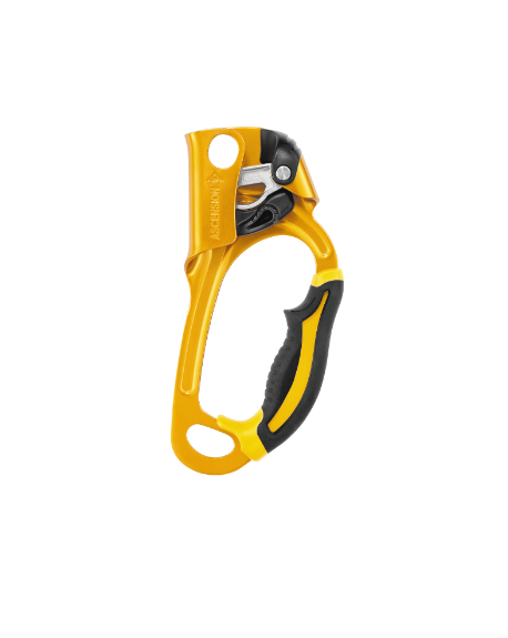 BLOQUEUR-POIGNEE PETZL ACSENSION